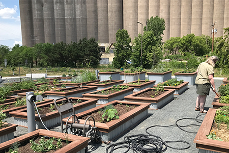 Irrigation garden reuse