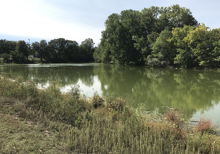 Text needed for alt text.