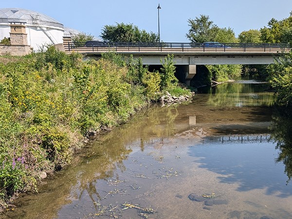 Forward-thinking, nature-based flood mitigation design