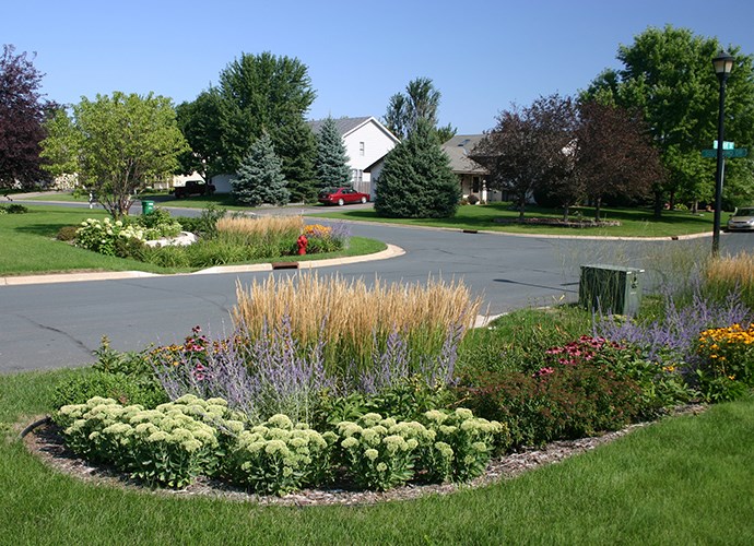 A landscaped curbside rain garden filled with grasses and colorful flowering plants sits at the corner of a quiet suburban street.