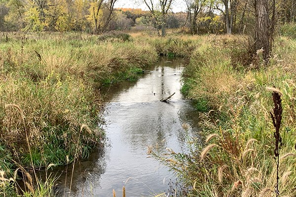 Fish habitat improvement on the South Branch Vermillion River