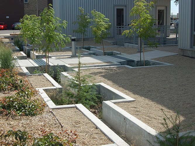 A geometric gravel courtyard with young trees and concrete planter beds sits beside a modern metal‑clad building.