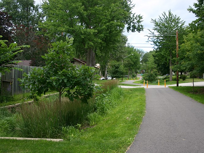 A paved path runs through a green neighborhood area lined with trees, tall grasses, and a small rain garden near the roadside.