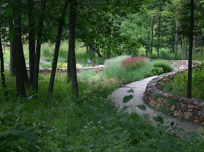 A curving boardwalk winds through a wooded landscape beside stone walls and dense plantings of grasses and wildflowers.