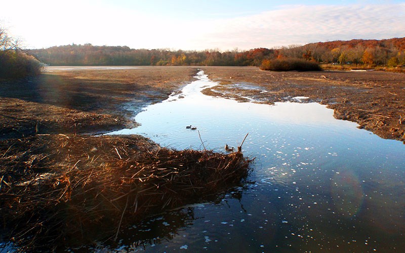 A calm, shallow river winds through a wide, muddy landscape bordered by autumn-colored trees under a partly cloudy sky.