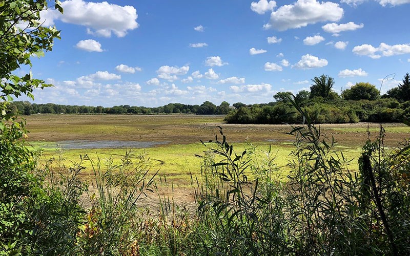 A wide, mostly dried wetland stretches into the distance with patches of green vegetation under a bright blue sky filled with scattered white clouds.