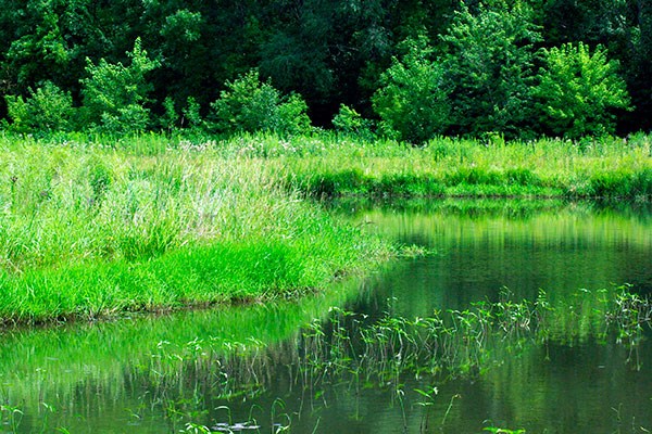 Office building placeholder graphic-03.png