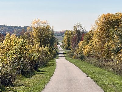 Ecological and stormwater planning for undeveloped areas