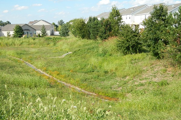 Barr designed green-infrastructure basin retrofits for stormwater management and habitat creation in the City of St. Peters, Missouri.