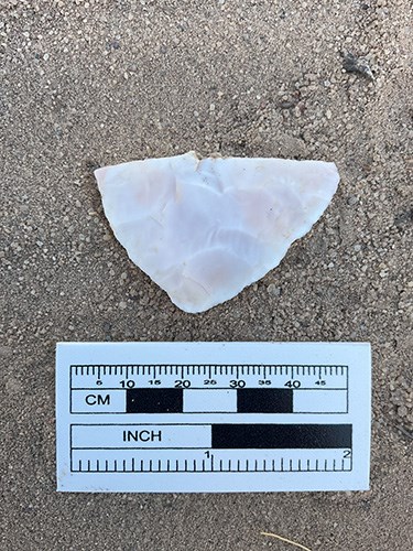 A chisled stone, classified as a chert biface, found during a cultural resources survey.