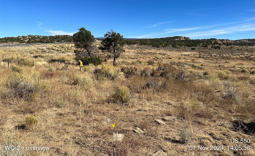 Wide view of a dry, grassy landscape with scattered shrubs and small trees under a clear blue sky.