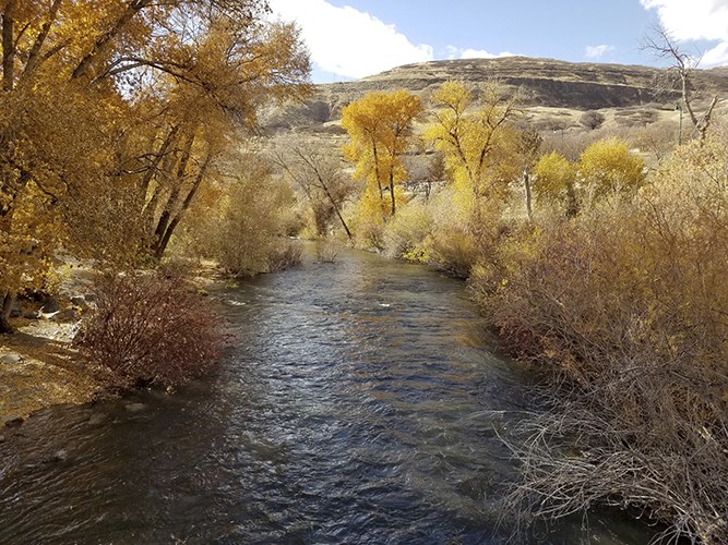 A gently flowing river winds between dense autumn trees with golden foliage beneath a bright sky and rolling hills.
