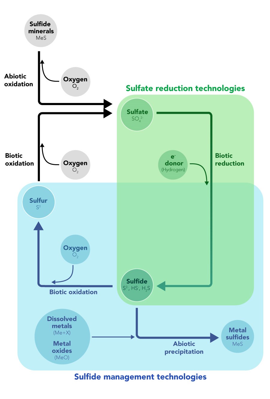Figure shows the sulfur cycle as relevant to biological sulfate treatment in water.  Figure shows the sulfur cycle as relevant to biological sulfate treatment in water.